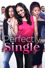 Perfectly Single – 2019 – Online In Netflix