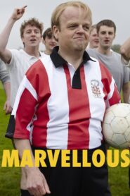 Marvellous – 2014 – Online In Netflix