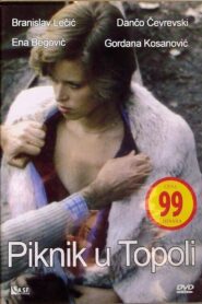 Piknik u Topoli – 1981 – Online In Netflix