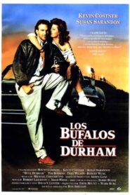 La Bella y el Campeón – 1988 – Online In Netflix