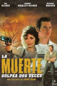 Kill Me Again – 1989 – Online In Netflix