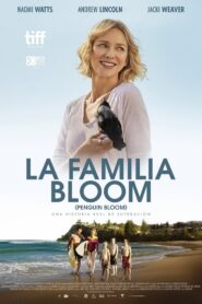 Un Milagro Inesperado – 2021 – Online In Netflix