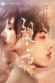 裂痕 – 2023 Online gratis free Netflix