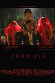 Room 213 – 2008 – Online In Netflix