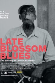 Late Blossom Blues – 2017 – Online In Netflix