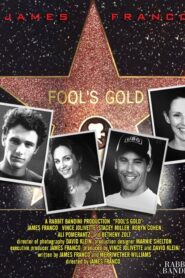 Fool’s Gold – 2005 – Online In Netflix