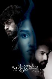 బుట్టబొమ్మ – 2023 – Online In Netflix