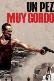 Very Big Shot – 2015 – Online In Netflix
