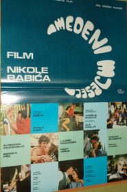 Medeni mjesec – 1983 – Online In Netflix