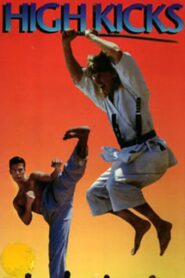 High Kicks – 1993 – Online In Netflix