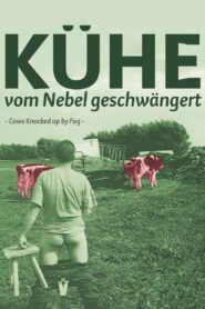Kühe, vom Nebel geschwängert – 2002 – Online In Netflix