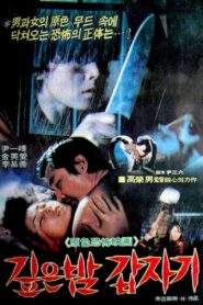 깊은 밤 갑자기 – 1981 – Online In Netflix