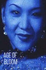 花樣的年華 – 2001 – Online In Netflix