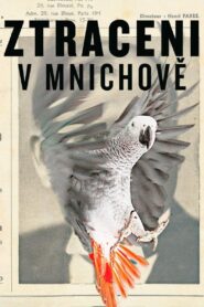 Ztraceni v Mnichově – 2015 – Online In Netflix
