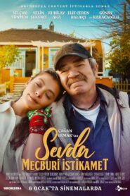 Sevda Mecburi İstikamet – 2023 – Online In Netflix