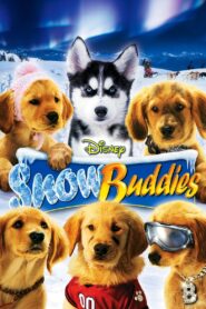 Snow Buddies: Cachorros en la nieve – 2008 – Online In Netflix