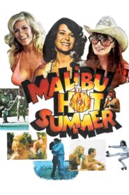 Malibu Hot Summer – 1981 – Online In Netflix