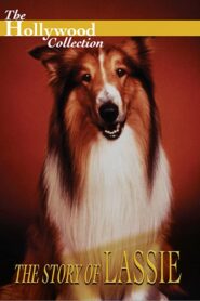 The Story of Lassie – 1994 – Online In Netflix
