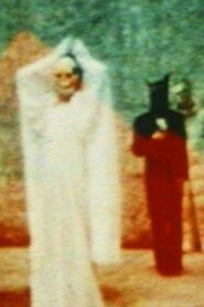 In the Shadow of the Sun – 1981 – Online In Netflix