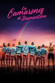 Les Crevettes pailletées – 2019 – Online In Netflix