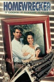 Homewrecker – 1992 – Online In Netflix
