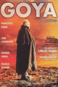 Goya en Burdeos – 1999 – Online In Netflix