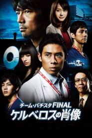 チーム・バチスタFINAL ケルベロスの肖像 – 2014 – Online In Netflix