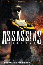 Assassins Revenge – 2018 – Online In Netflix