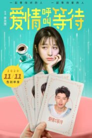 爱情呼叫等待 – 2020 – Online In Netflix