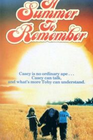 A Summer to Remember – 1985 – Online In Netflix