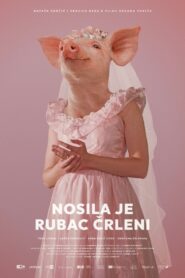 Nosila je rubac črleni – 2022 – Online In Netflix