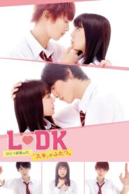 LDK: Dos Amores bajo un mismo techo – 2019 – Online In Netflix