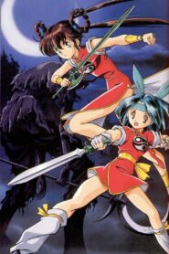 魔物ハンター妖子２ – 1992 – Online In Netflix