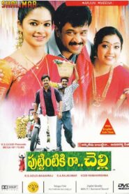 పుట్టింటికి రా చెల్లి – 2004 – Online In Netflix