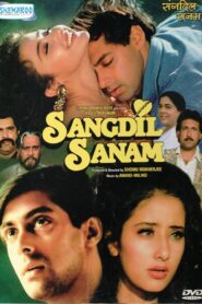 संगदिल सनम – 1994 – Online In Netflix