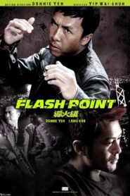 Flash Point – 2007 – Online In Netflix