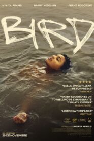 Bird – 2024 – Online In Netflix