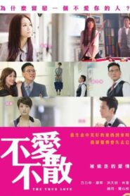 不爱不散 – 2014 – Online In Netflix