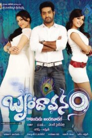 బృందావనం – 2010 – Online In Netflix