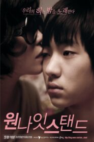 원 나잇 스탠드 – 2010 – Online In Netflix