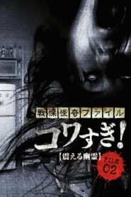 戦慄怪奇ファイル コワすぎ！ FILE-02 震える幽霊 – 2012 – Online In Netflix