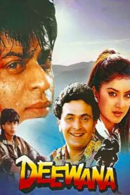 दीवाना – 1992 – Online In Netflix
