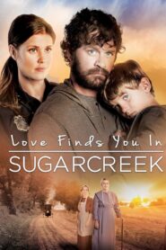 Love Finds You In Sugarcreek – 2014 – Online In Netflix