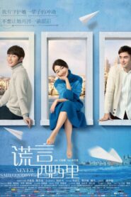 谎言西西里 – 2016 – Online In Netflix