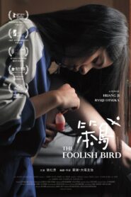 笨鳥 – 2017 – Online In Netflix