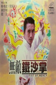 无敌铁砂掌 – 1998 – Online In Netflix