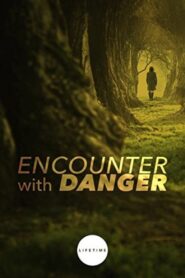 Encounter with Danger – 2010 – Online In Netflix