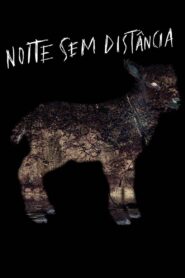 Noite Sem Distância – 2015 – Online In Netflix