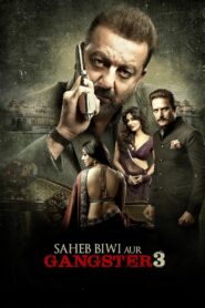 साहेब बीवी और गैंगस्टर 3 – 2018 – Online In Netflix