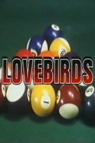 Love Birds – 1988 – Online In Netflix